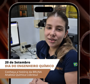 20 de Setembro: Dia do Engenheiro Químico